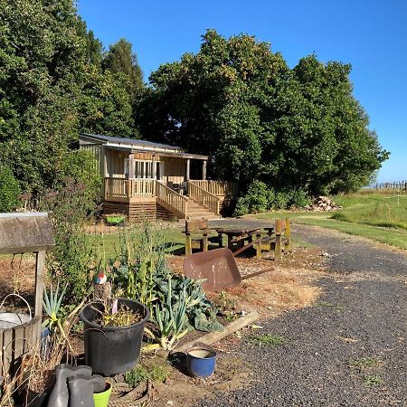 The Treehut Villa Ohauiti Luaran gambar