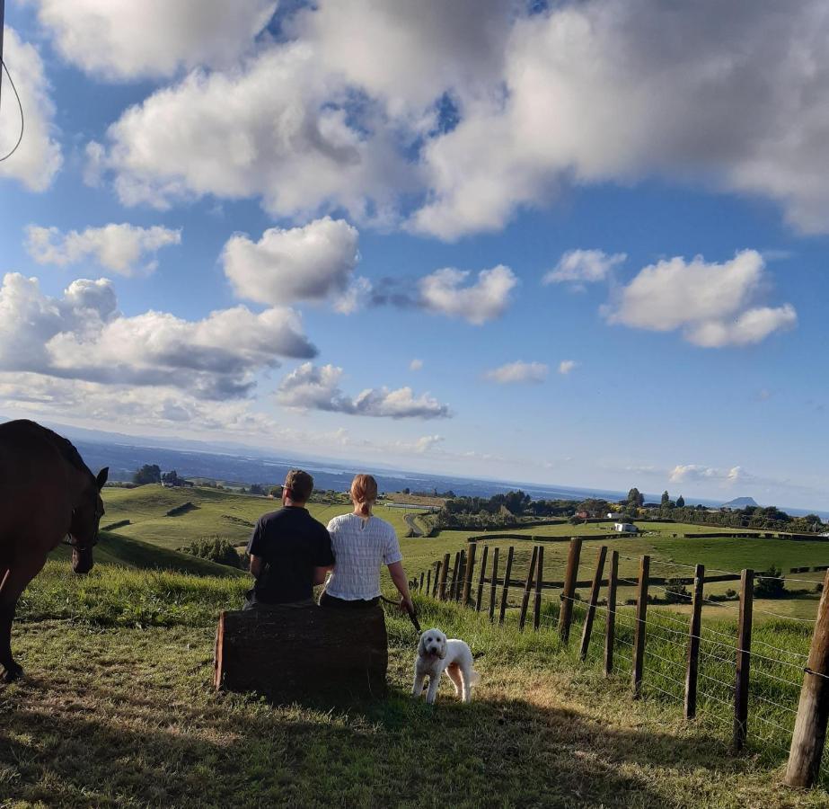 The Treehut Villa Ohauiti Luaran gambar